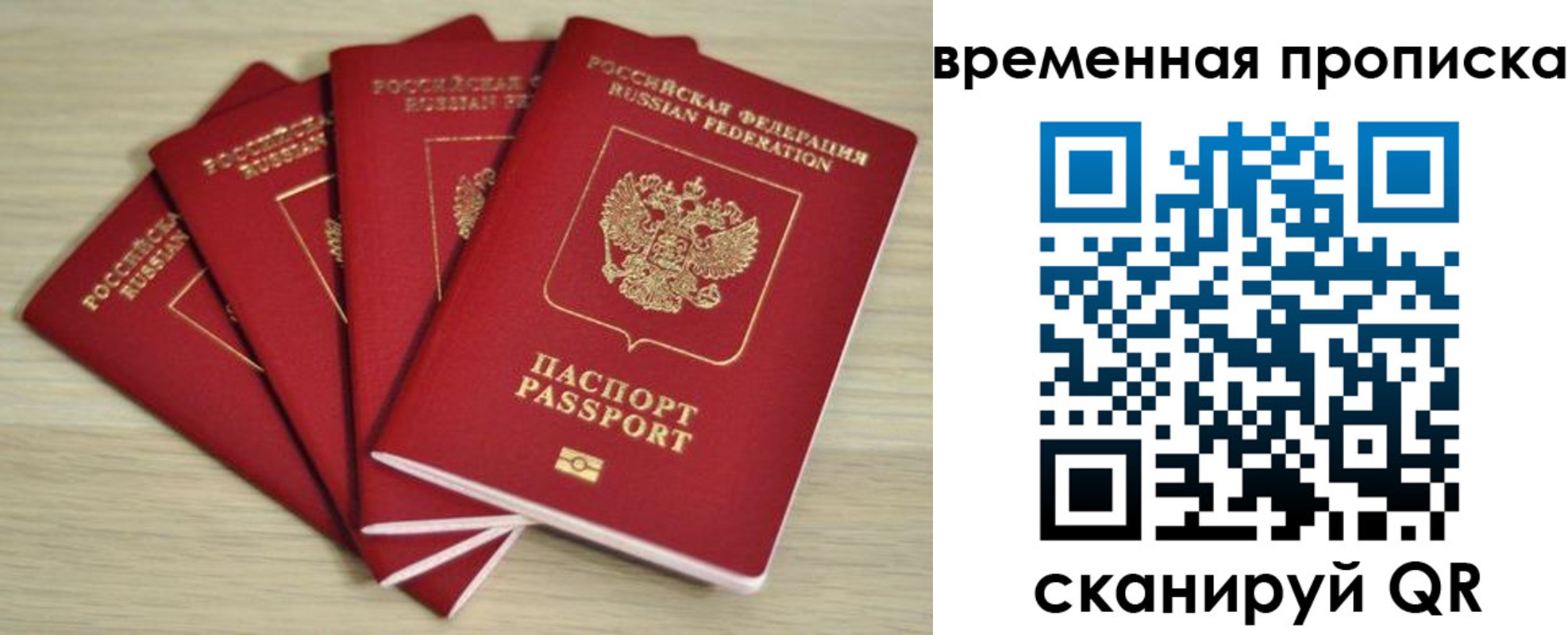 прописка для школы в Новодвинске