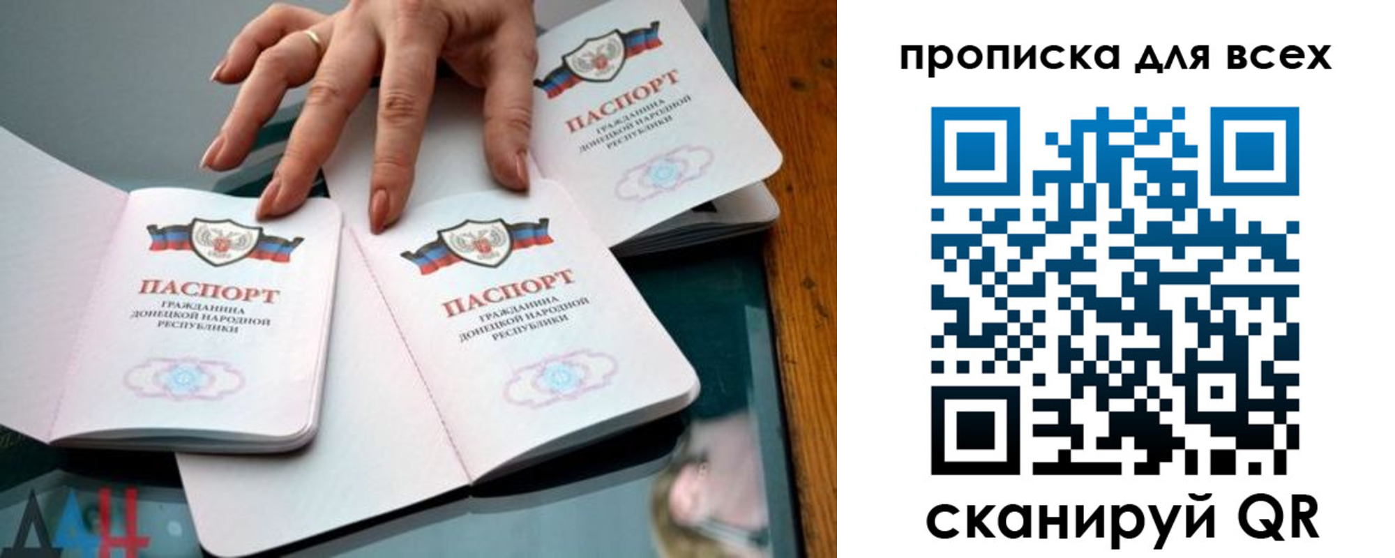 прописка гарантия в Новодвинске